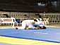 CF-BJJ05011.gif