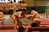 PA-BJJ05032.gif