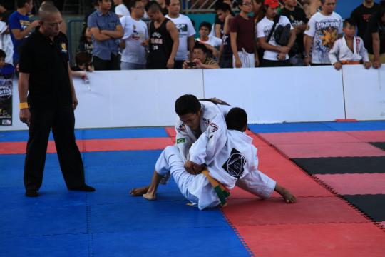 IMG 4301
